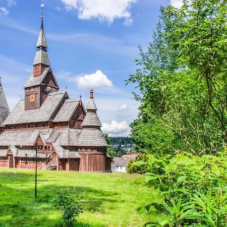 Am Seeufer In Hahnenkle