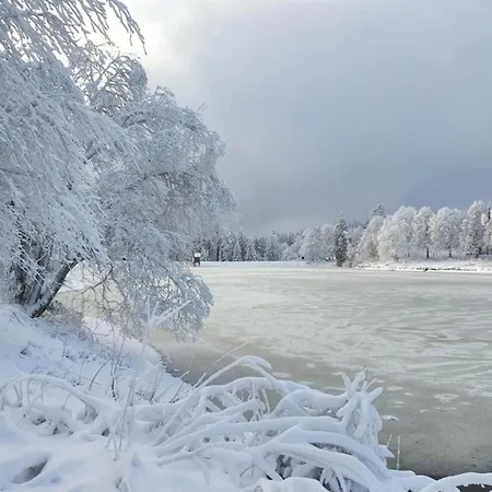 Am Seeufer In Hahnenkle Goslar
