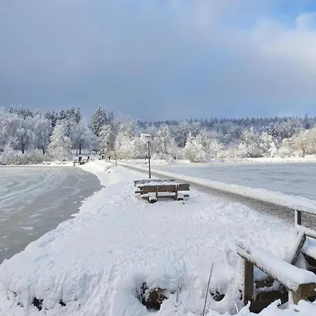 Am Seeufer In Hahnenkle