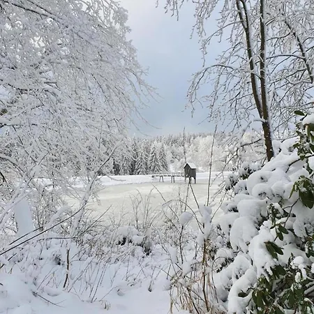 Am Seeufer In Hahnenkle * Goslar