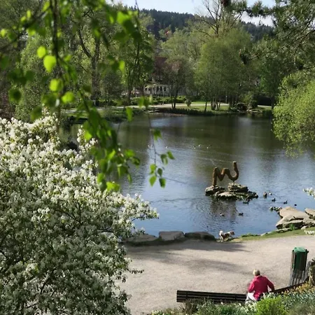 Am Seeufer In Hahnenkle
